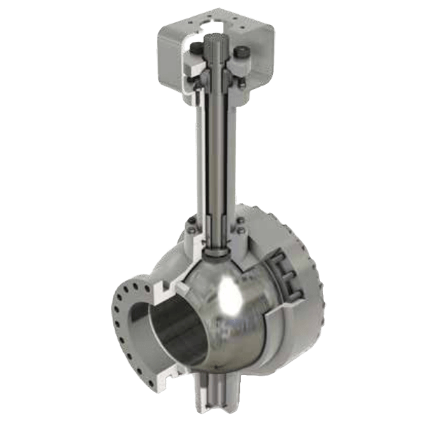 Cameron Cryogenic Ball Valve, 21/80