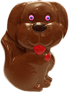 chocolat-chien-350.png
