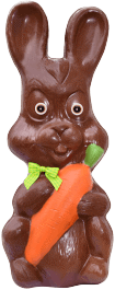 chocolat-lapin-carotte-363.png