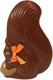 chocolat-ecureuil-118.png