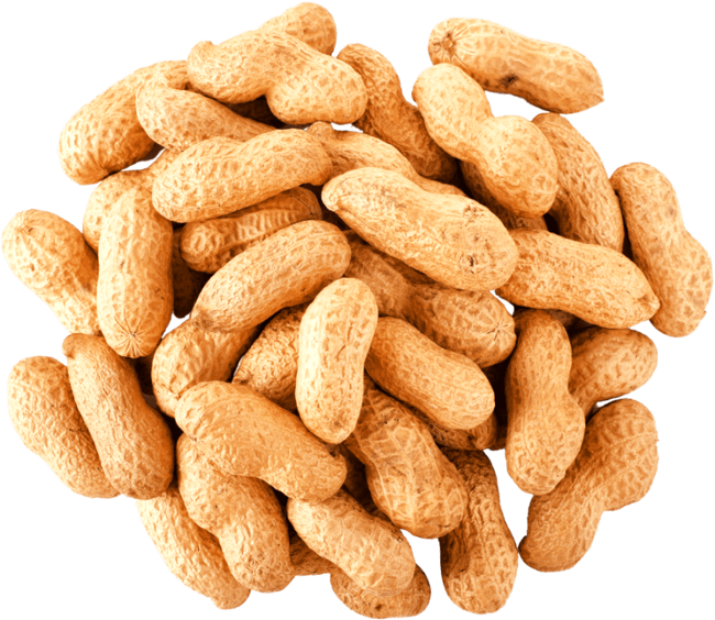 Inshell-Peanuts-no-Salt-.png