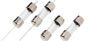 Littelfuse_Fuse_2AG_TL.png